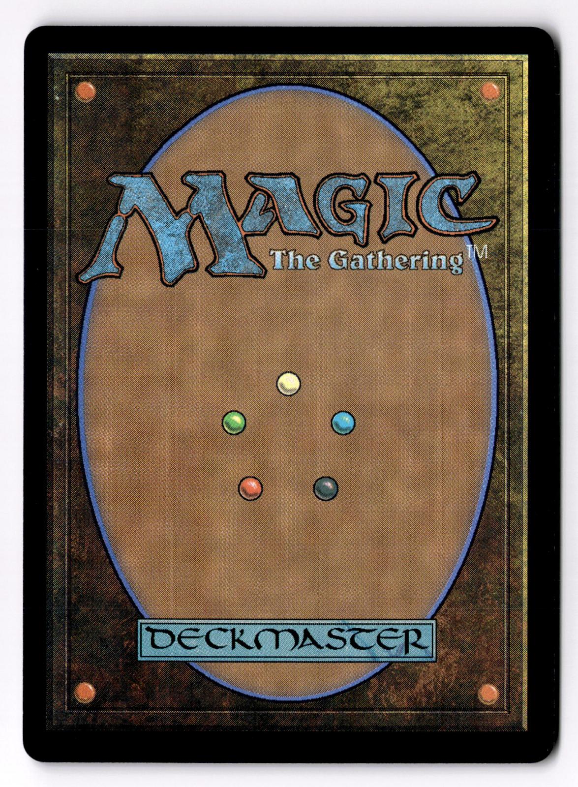 Hexbane Tortoise 166 Common Dominaria United Magic: The Gathering Lightly Played