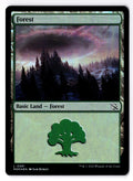 Forest (0281) 281 Land March of the Machine Magic: The Gathering Foil LP