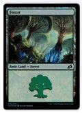 Forest 272 Land Ikoria: Lair of Behemoths Magic: The Gathering Foil LP