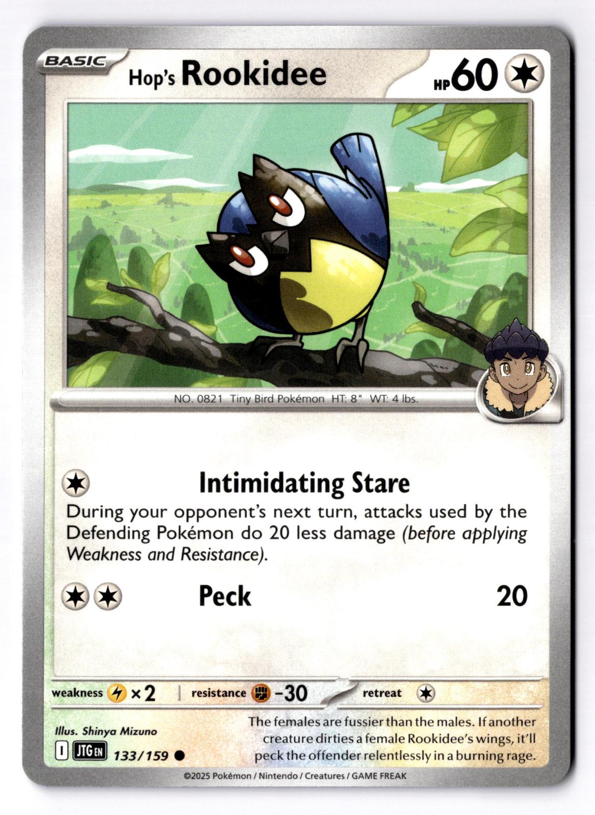 Hop's Rookidee 133/159 Common Journey Together Pokemon Near Mint