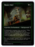 Master Chef (Foil Etched) 519 Magic: The Gathering LP