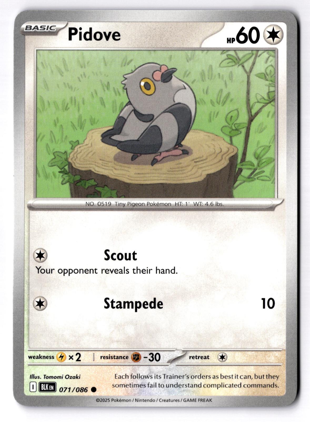 Pidove 071/086 Common Black Bolt Pokemon Near Mint