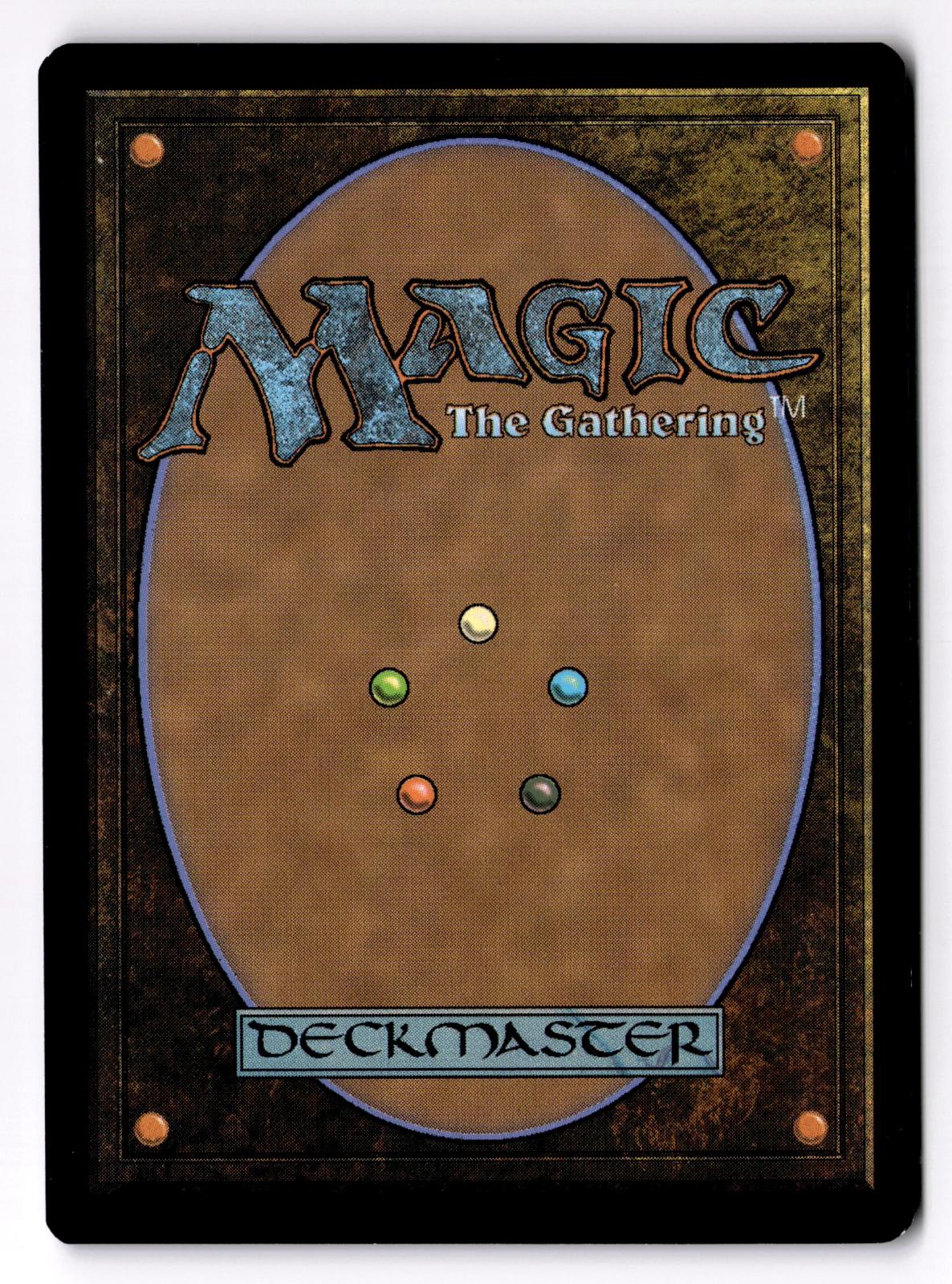 Ainok Wayfarer 134 Common Tarkir: Dragonstorm Magic: The Gathering Foil LP