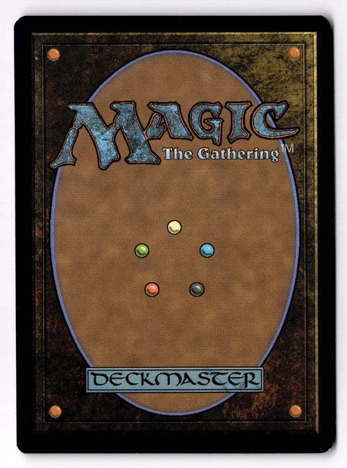 Ainok Wayfarer 134 Common Tarkir: Dragonstorm Magic: The Gathering Foil LP