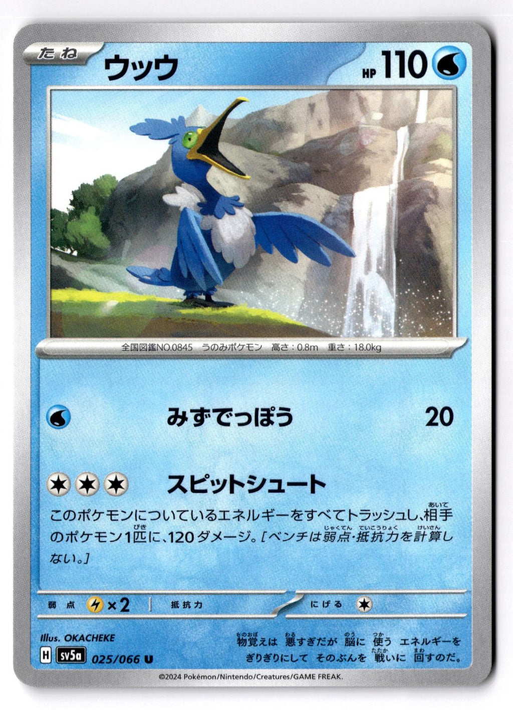 Cramorant 025/066 Uncommon Crimson Haze Pokemon Japanese Near Mint