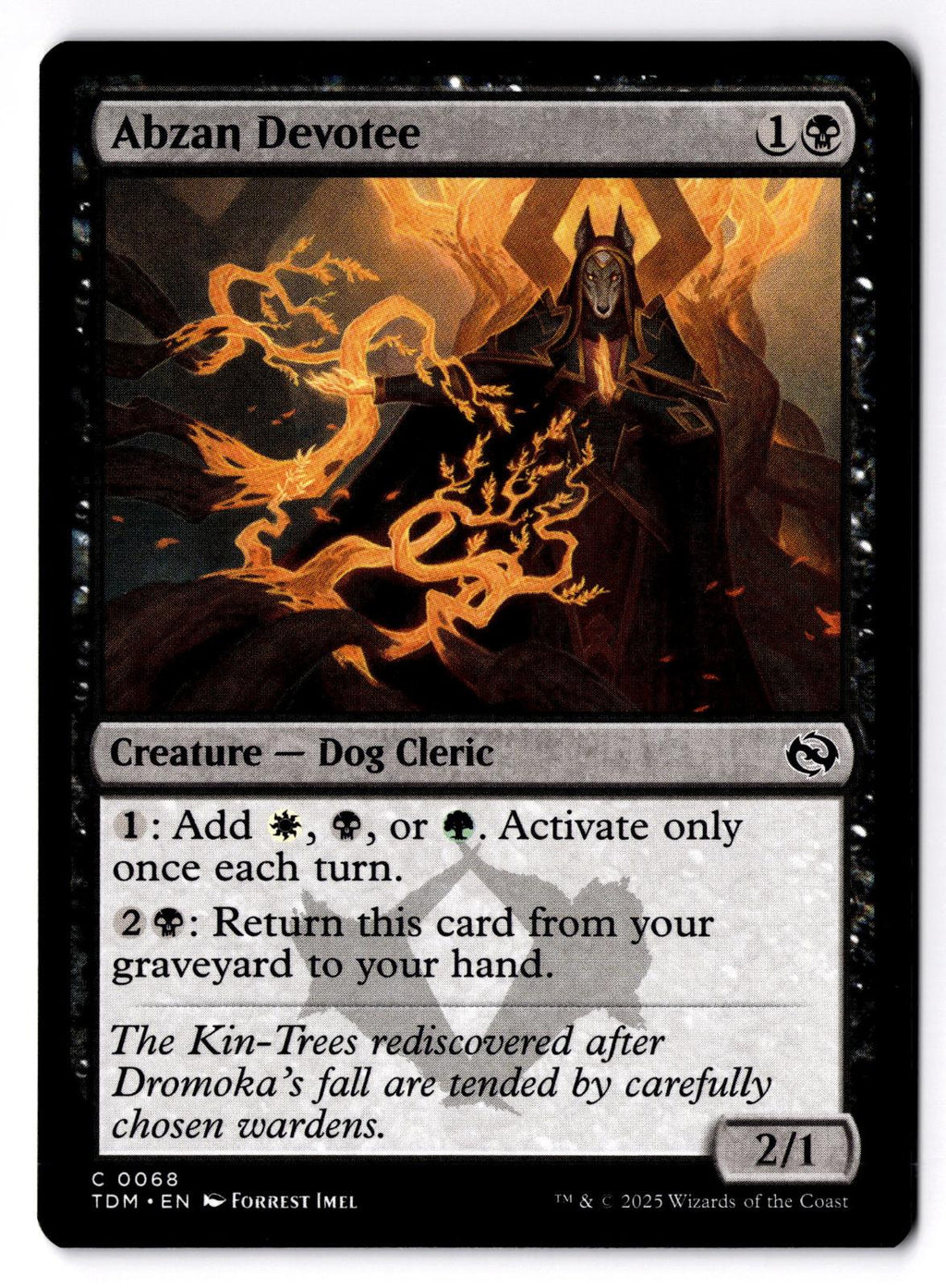 Abzan Devotee 68 Common Tarkir: Dragonstorm Magic: The Gathering Lightly Played