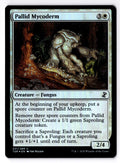 Pallid Mycoderm 31 Common Time Spiral: Remastered Magic: The Gathering Foil LP
