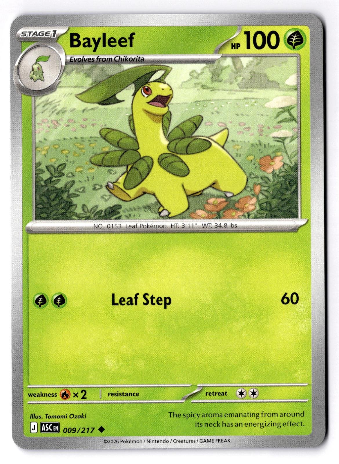 Bayleef 009/217 Uncommon Ascended Heroes Pokemon Near Mint