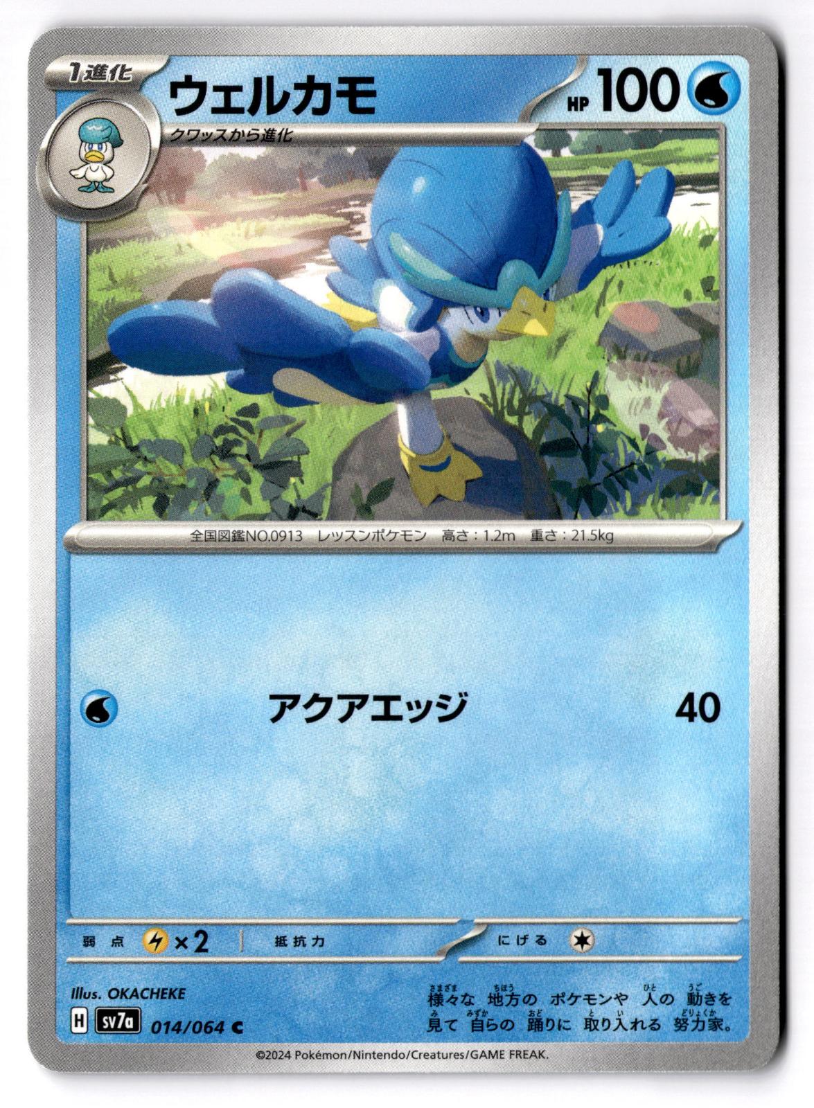 Quaxwell 014/064 Common Paradise Dragona Pokemon Japanese Near Mint