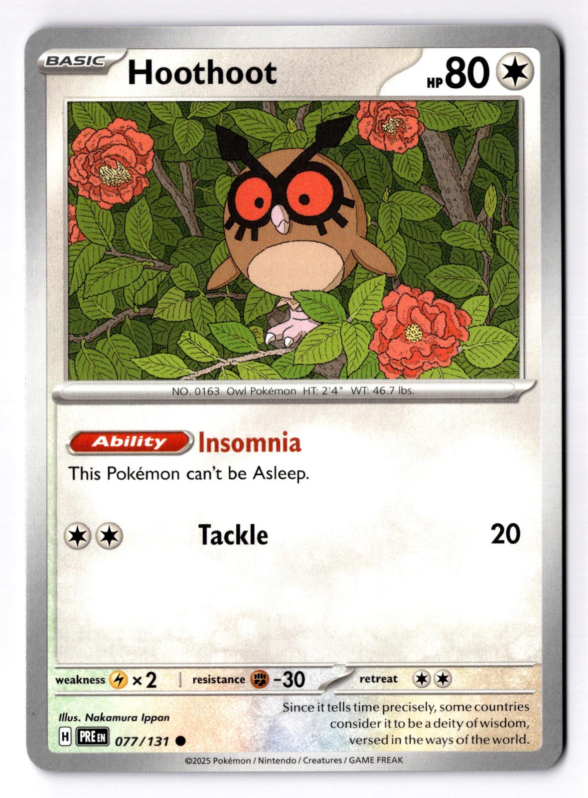 Hoothoot 077/131 Common Prismatic Evolutions Pokemon Near Mint
