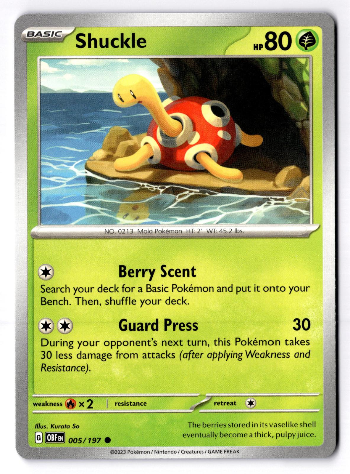 Shuckle 005/197 Common Obsidian Flames Pokemon Near Mint