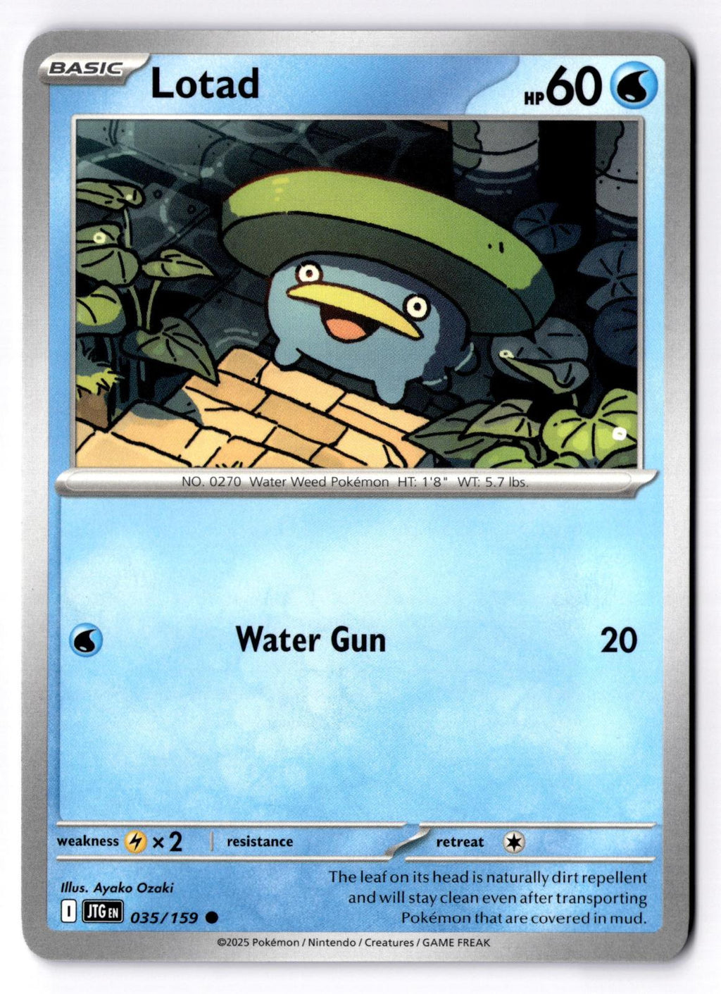 Lotad 035/159 Common Journey Together Pokemon Near Mint