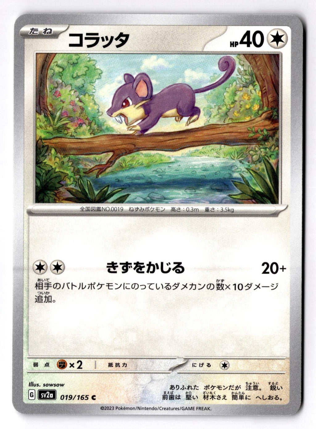 Rattata 019/165 Common SV2a: Pokemon Card 151 Pokemon Japanese Near Mint