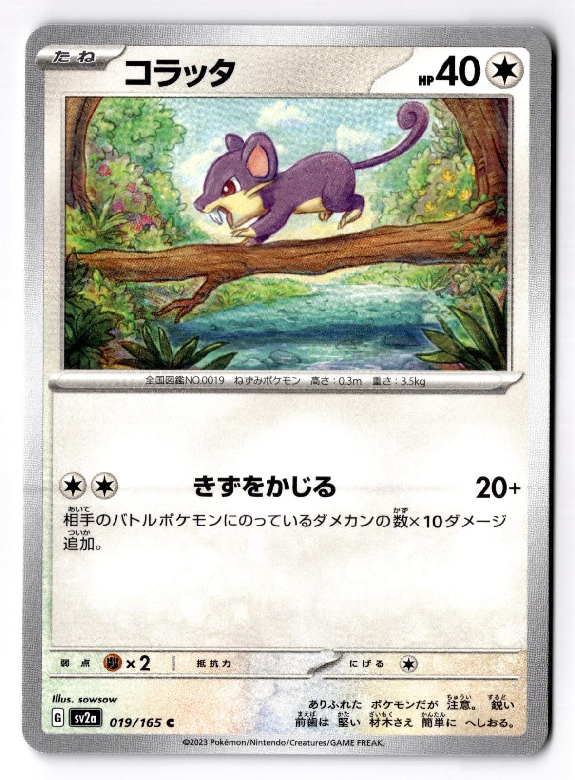 Rattata 019/165 Common SV2a: Pokemon Card 151 Pokemon Japanese Near Mint