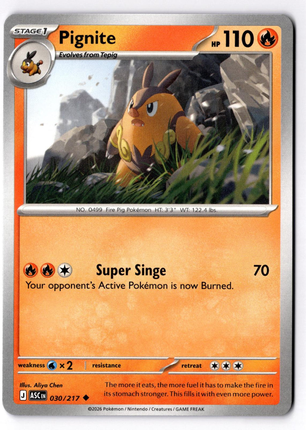 Pignite 030/217 Uncommon Ascended Heroes Pokemon Near Mint