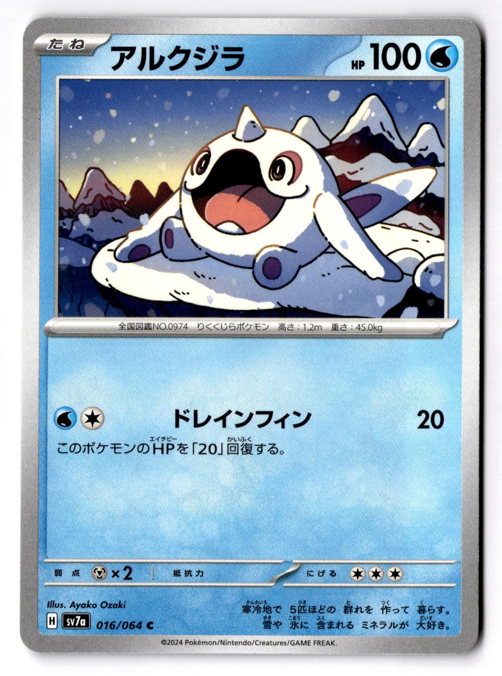 Cetoddle 016/064 Common Paradise Dragona Pokemon Japanese Near Mint