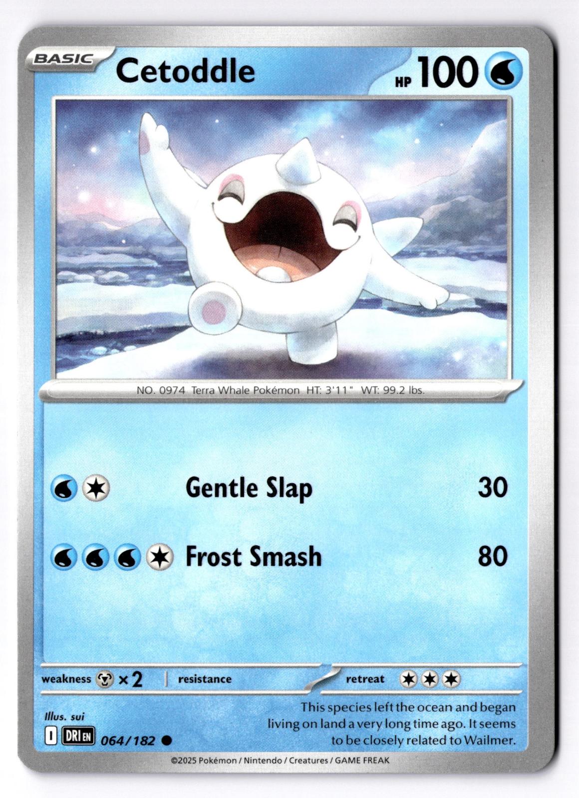 Cetoddle 064/182 Common Destined Rivals Pokemon Near Mint