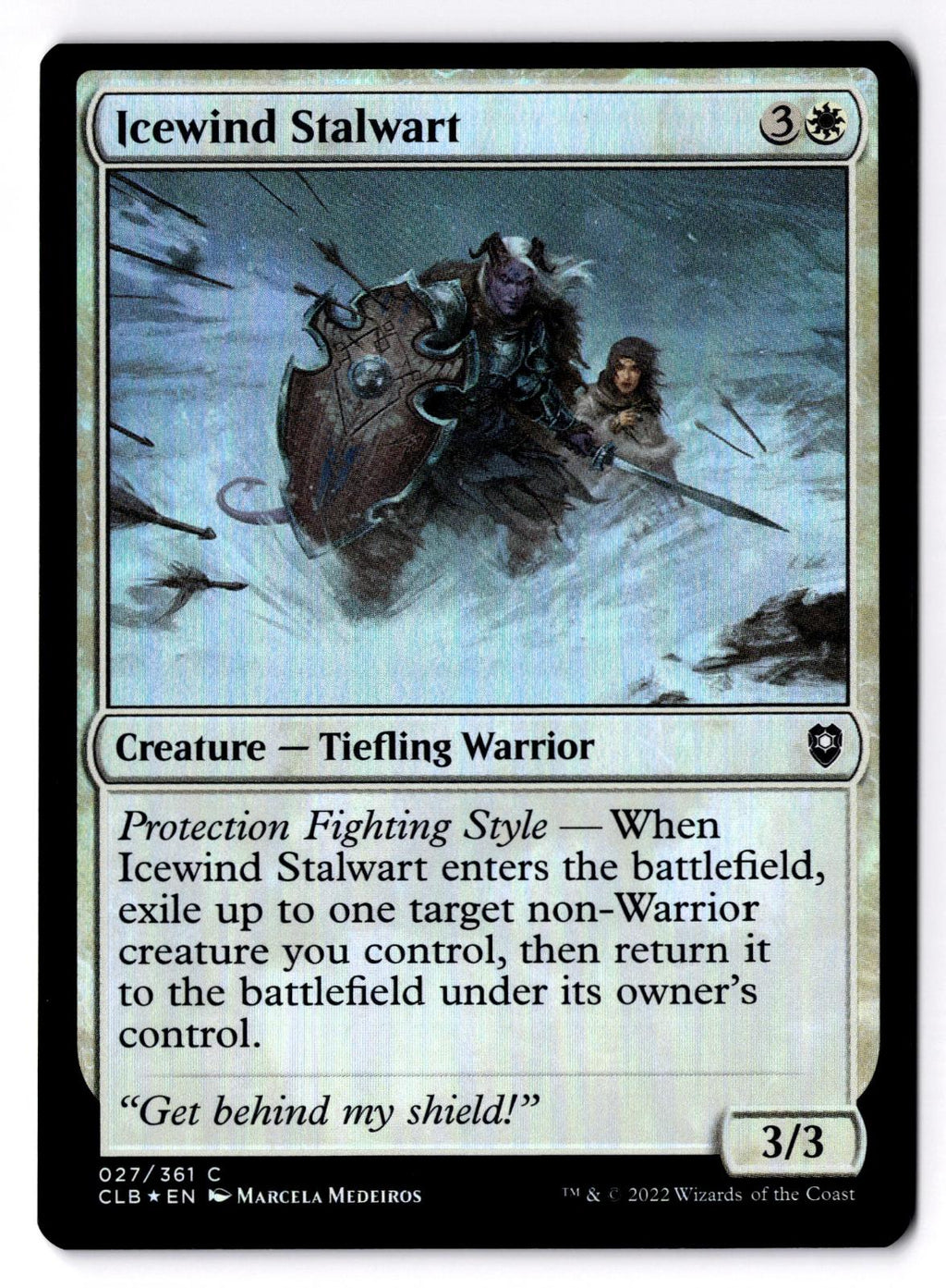 Icewind Stalwart 27 Magic: The Gathering Foil LP