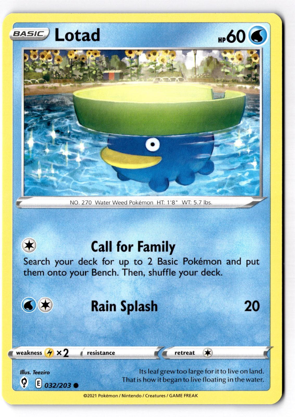 Lotad 032/203 Common Evolving Skies Pokemon Near Mint