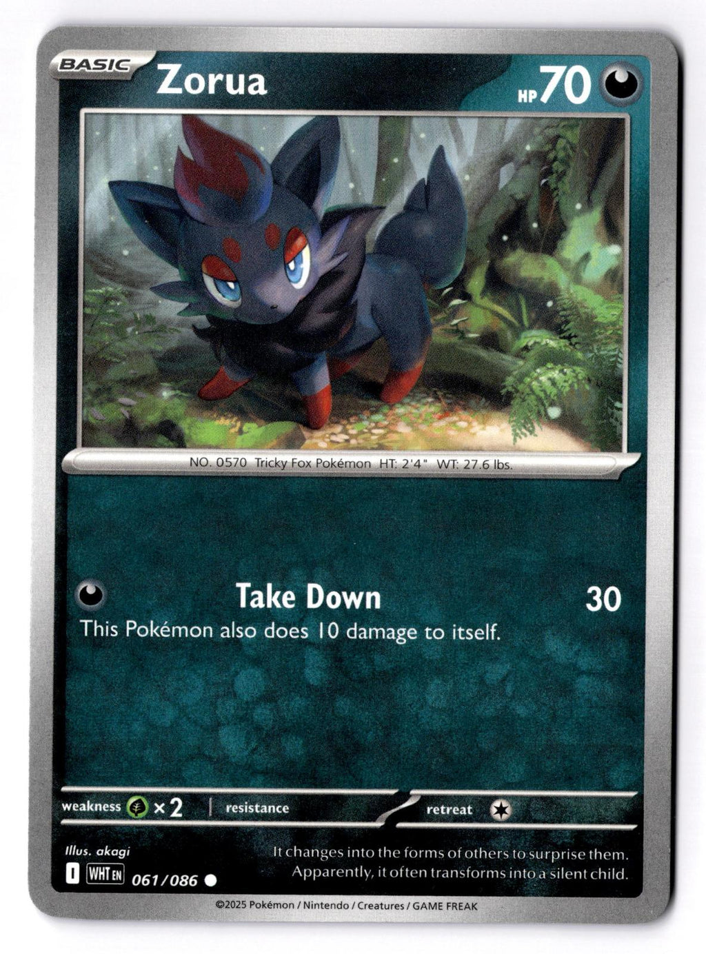 Zorua 061/086 Common White Flare Pokemon Near Mint