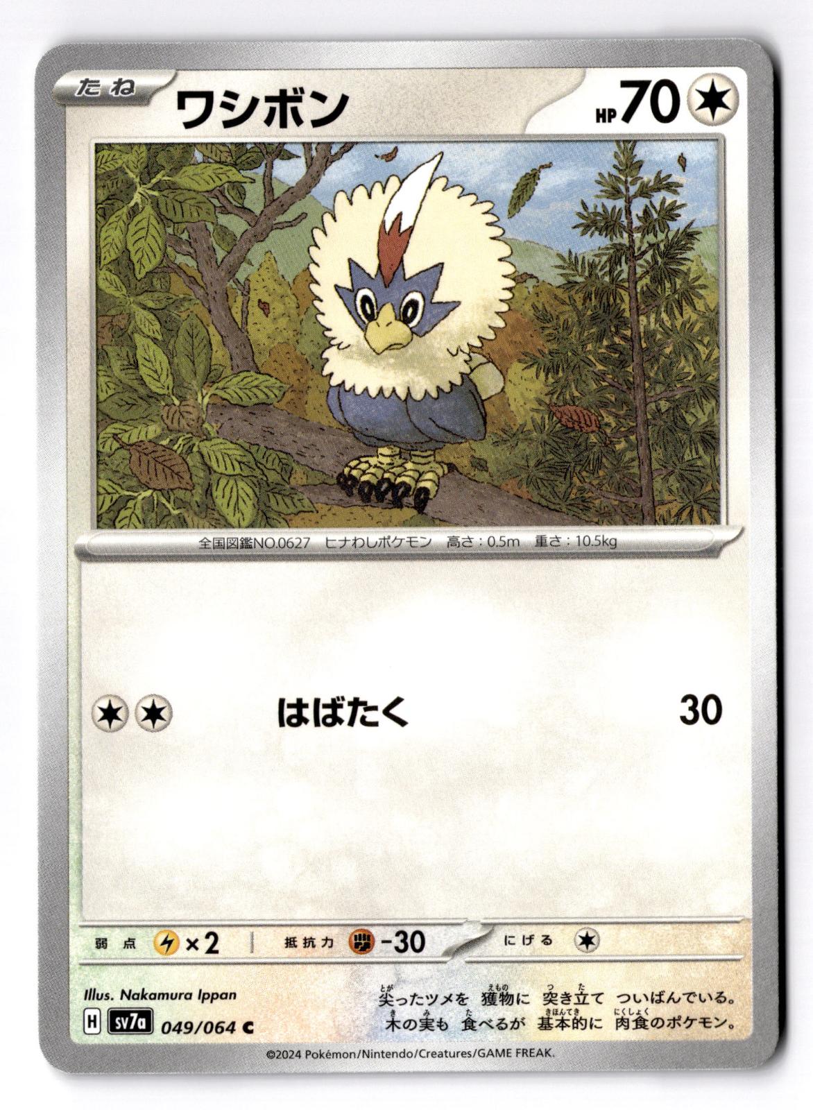 Rufflet 049/064 Common Paradise Dragona Pokemon Japanese Near Mint
