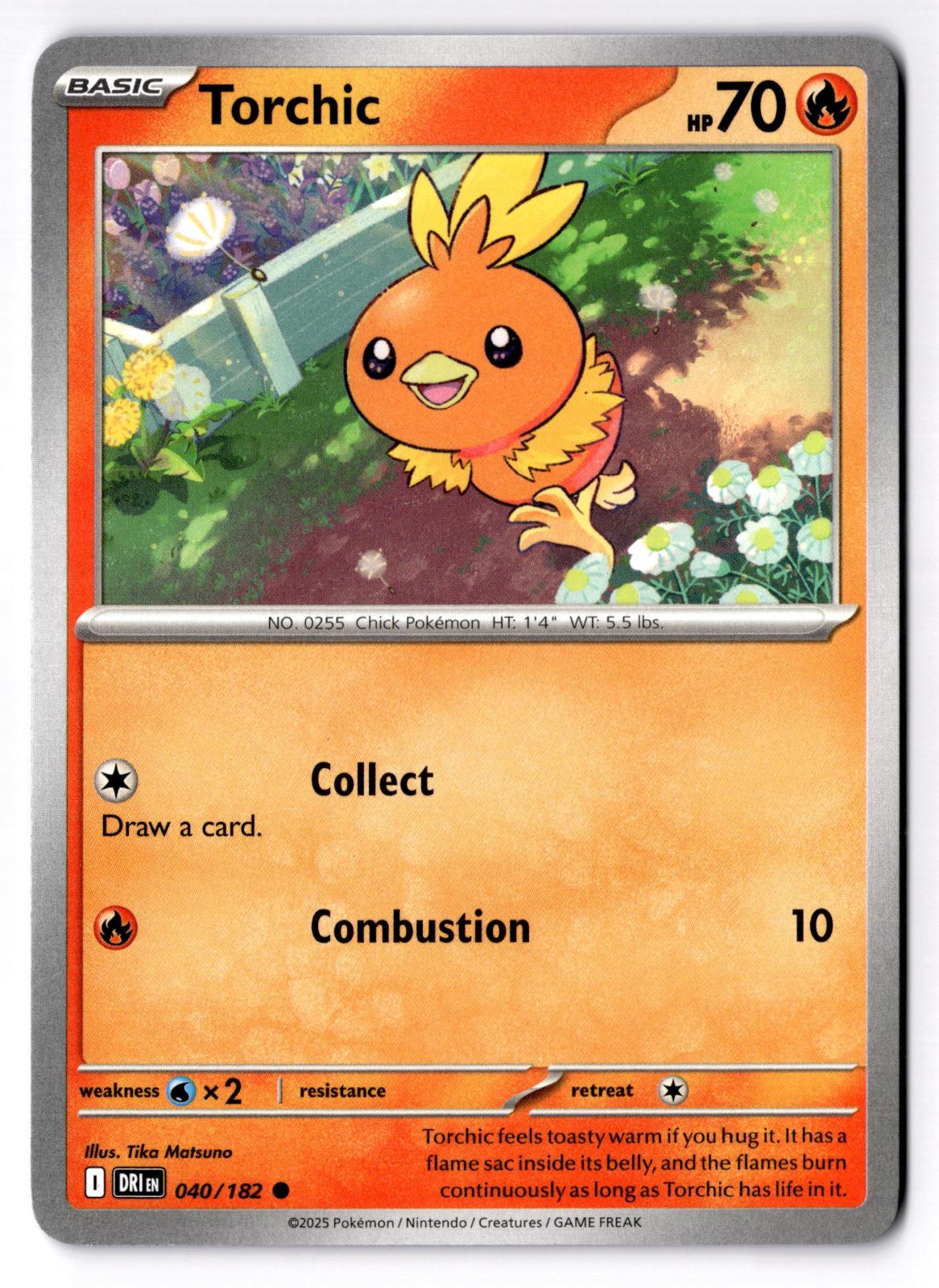 Torchic 040/182 Common Destined Rivals Pokemon Near Mint