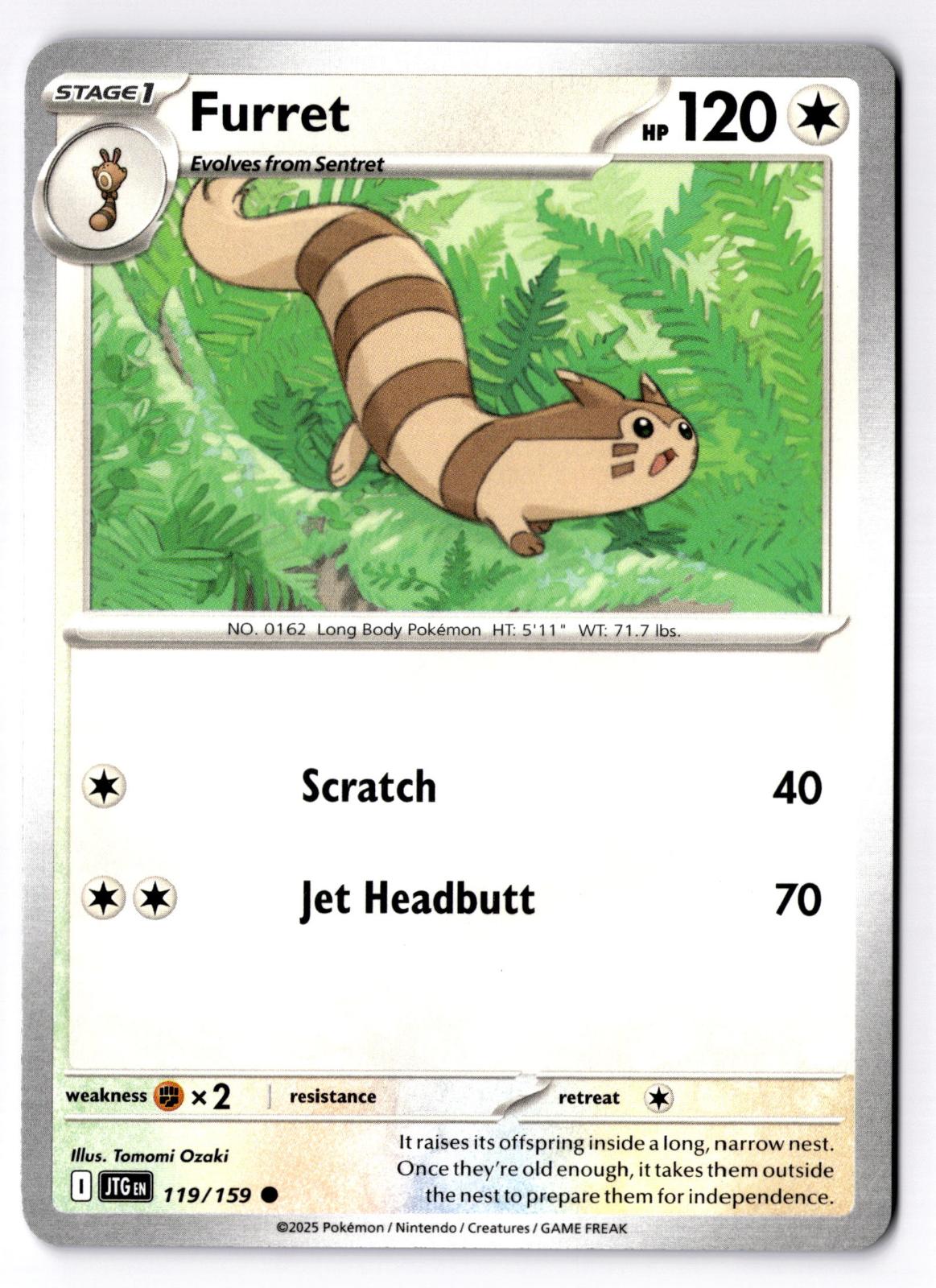 Furret 119/159 Common Journey Together Pokemon Near Mint