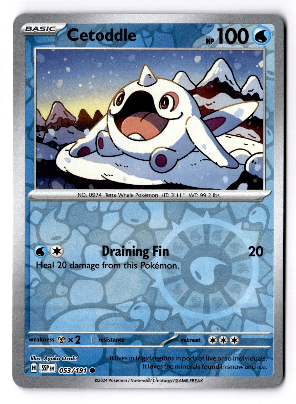 Cetoddle 053/191 Common Surging Sparks Pokemon Reverse Holo Near Mint