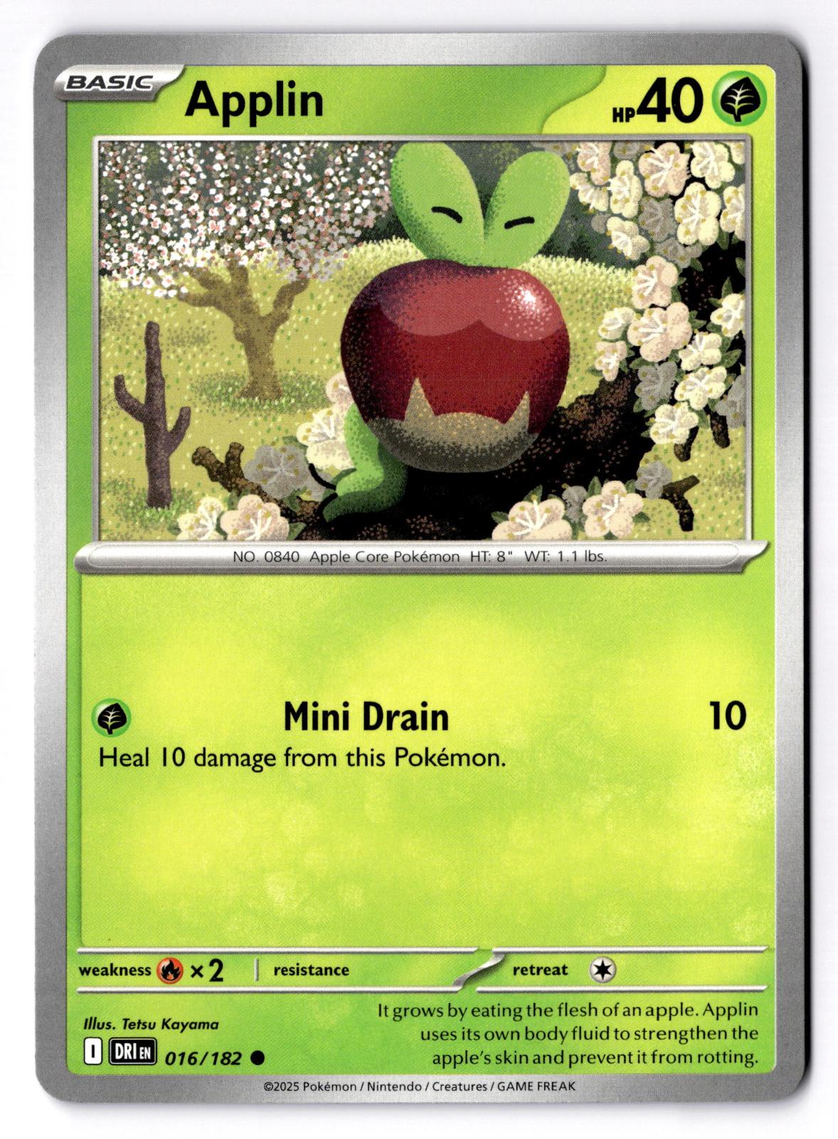 Applin 016/182 Common Destined Rivals Pokemon Near Mint