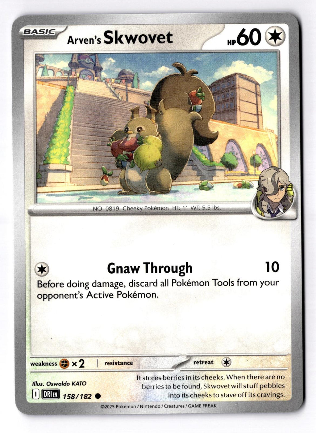Arven's Skwovet 158/182 Common Destined Rivals Pokemon Near Mint