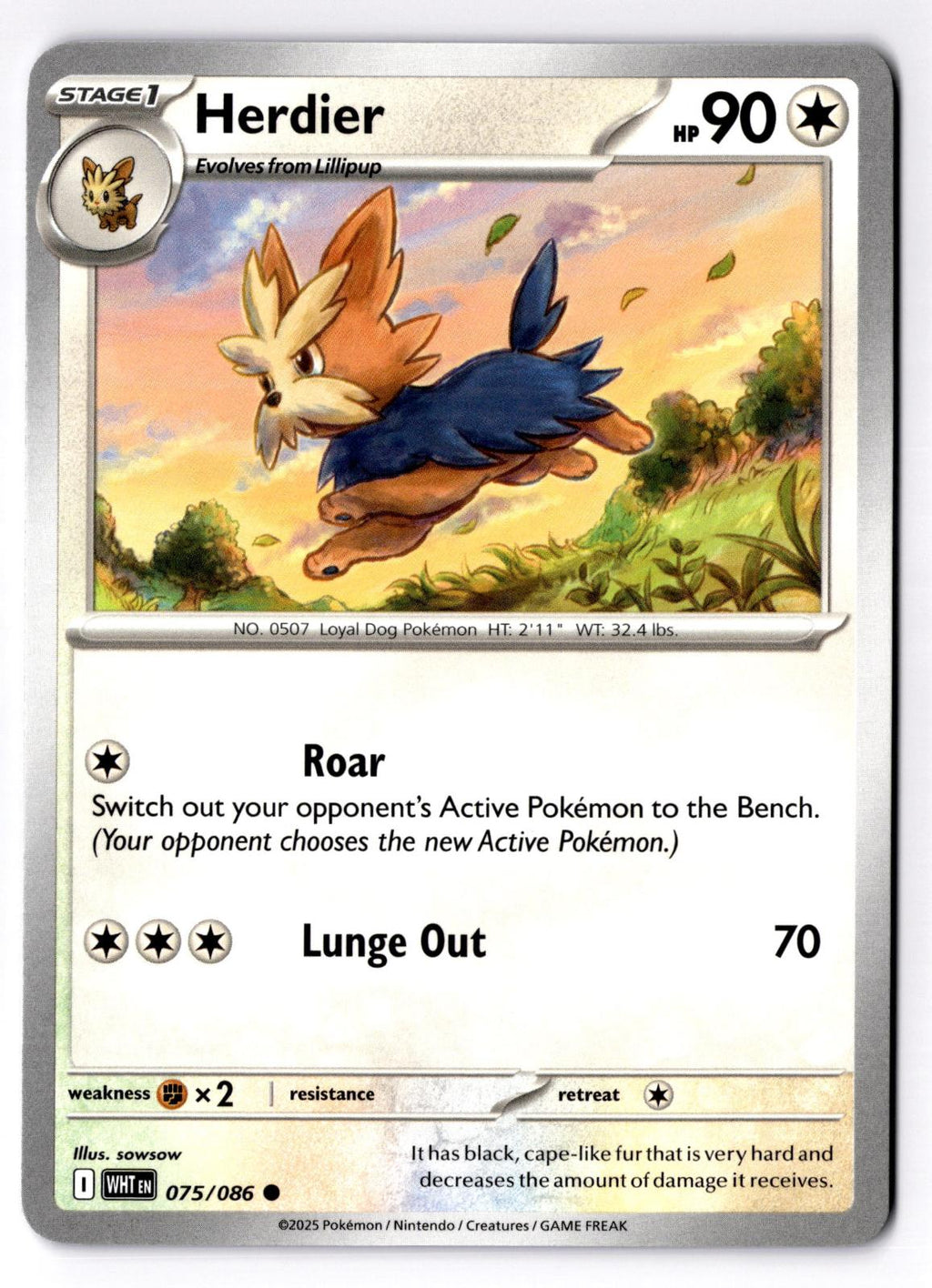 Herdier 075/086 Common White Flare Pokemon Near Mint