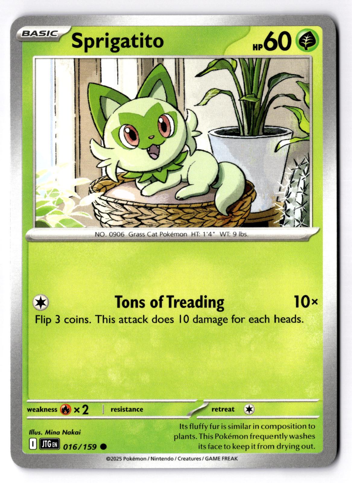 Sprigatito 016/159 Common Journey Together Pokemon Near Mint