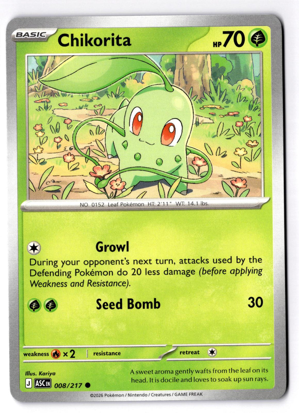 Chikorita 008/217 Common Ascended Heroes Pokemon Near Mint