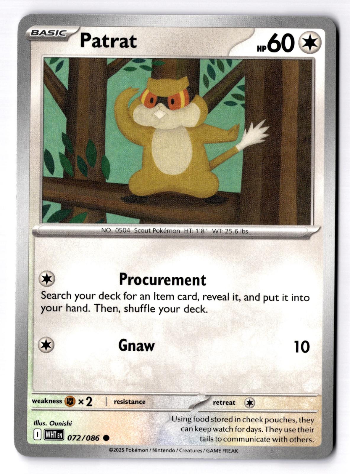 Patrat 072/086 Common White Flare Pokemon Near Mint