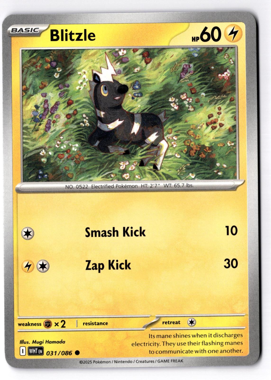 Blitzle 031/086 Common White Flare Pokemon Near Mint