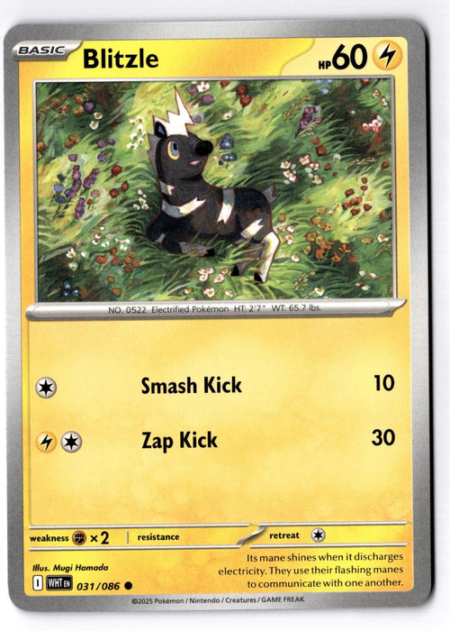 Blitzle 031/086 Common White Flare Pokemon Near Mint