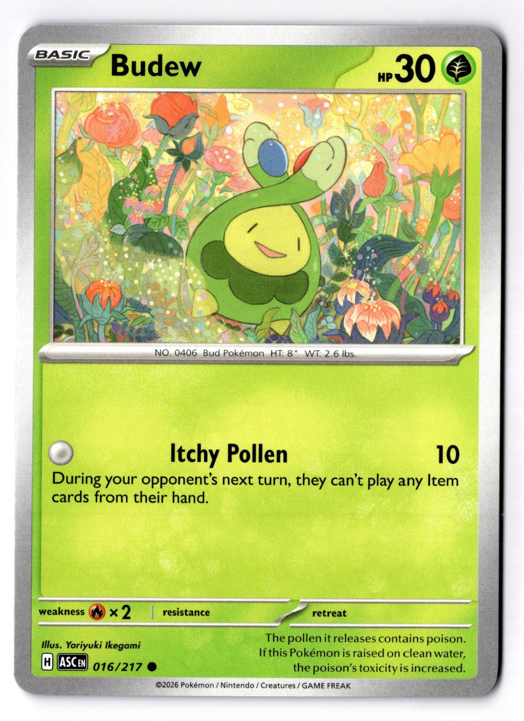 Budew 016/217 Common Ascended Heroes Pokemon Near Mint