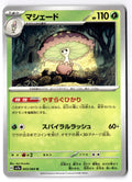 Shiinotic 003/064 Uncommon Paradise Dragona Pokemon Japanese Near Mint