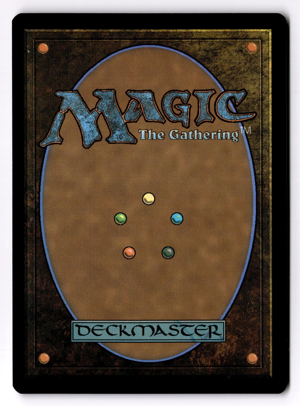 Devoted Duelist 104 Common Tarkir: Dragonstorm Magic: The Gathering LP