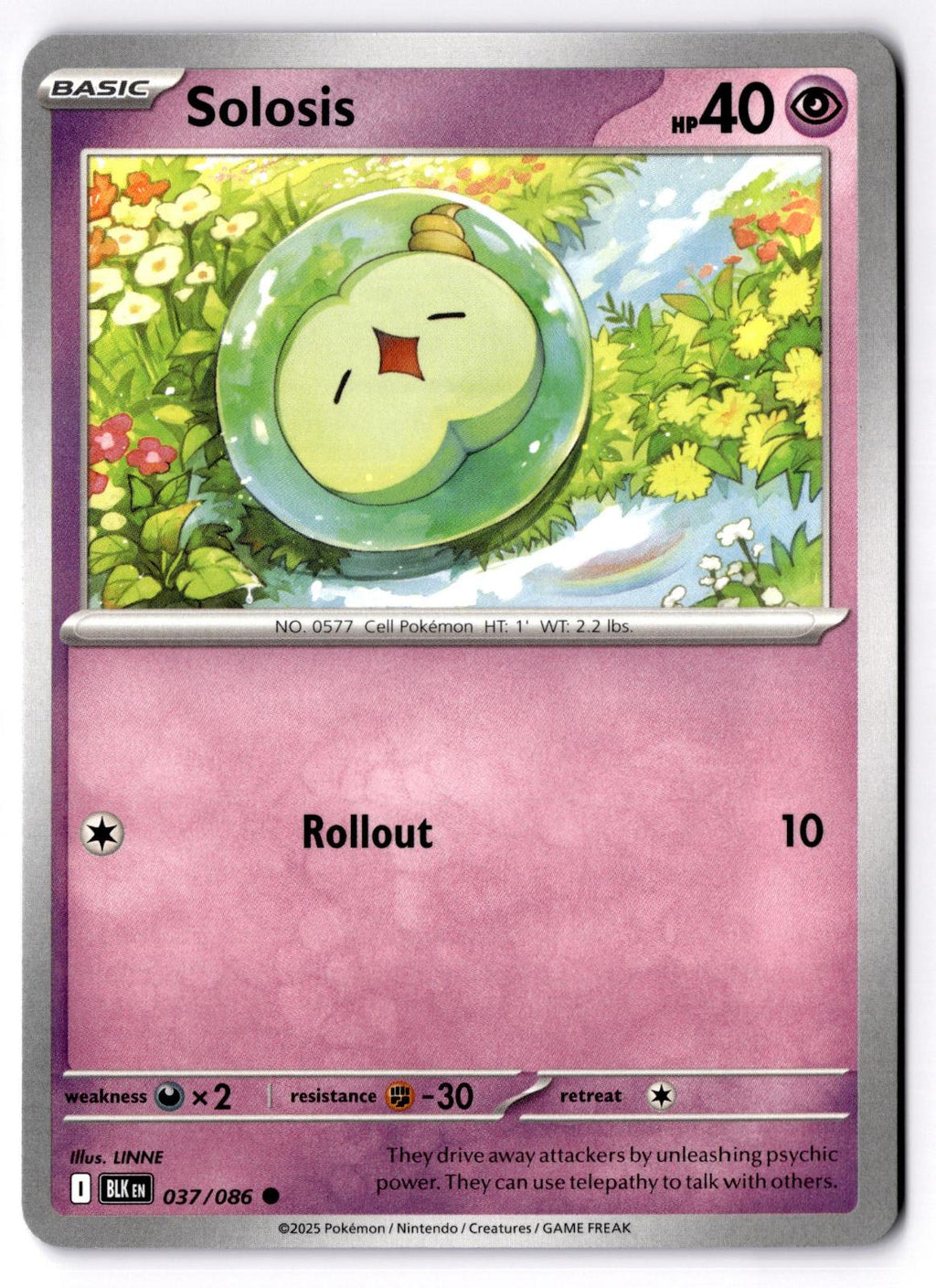 Solosis 037/086 Common Black Bolt Pokemon Near Mint