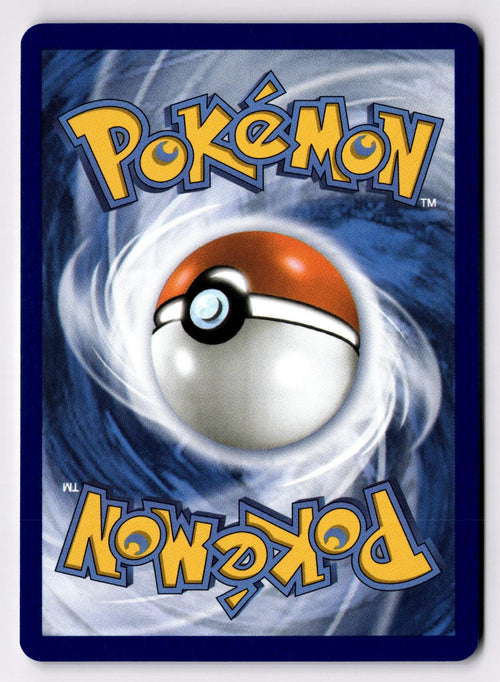 Black Belt's Training 145/159 Common Journey Together Pokemon Near Mint