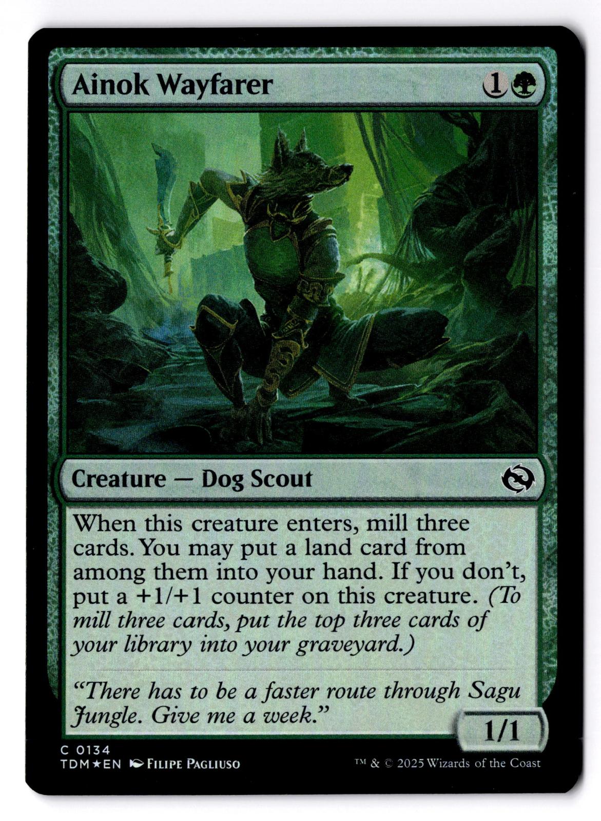 Ainok Wayfarer 134 Common Tarkir: Dragonstorm Magic: The Gathering Foil LP