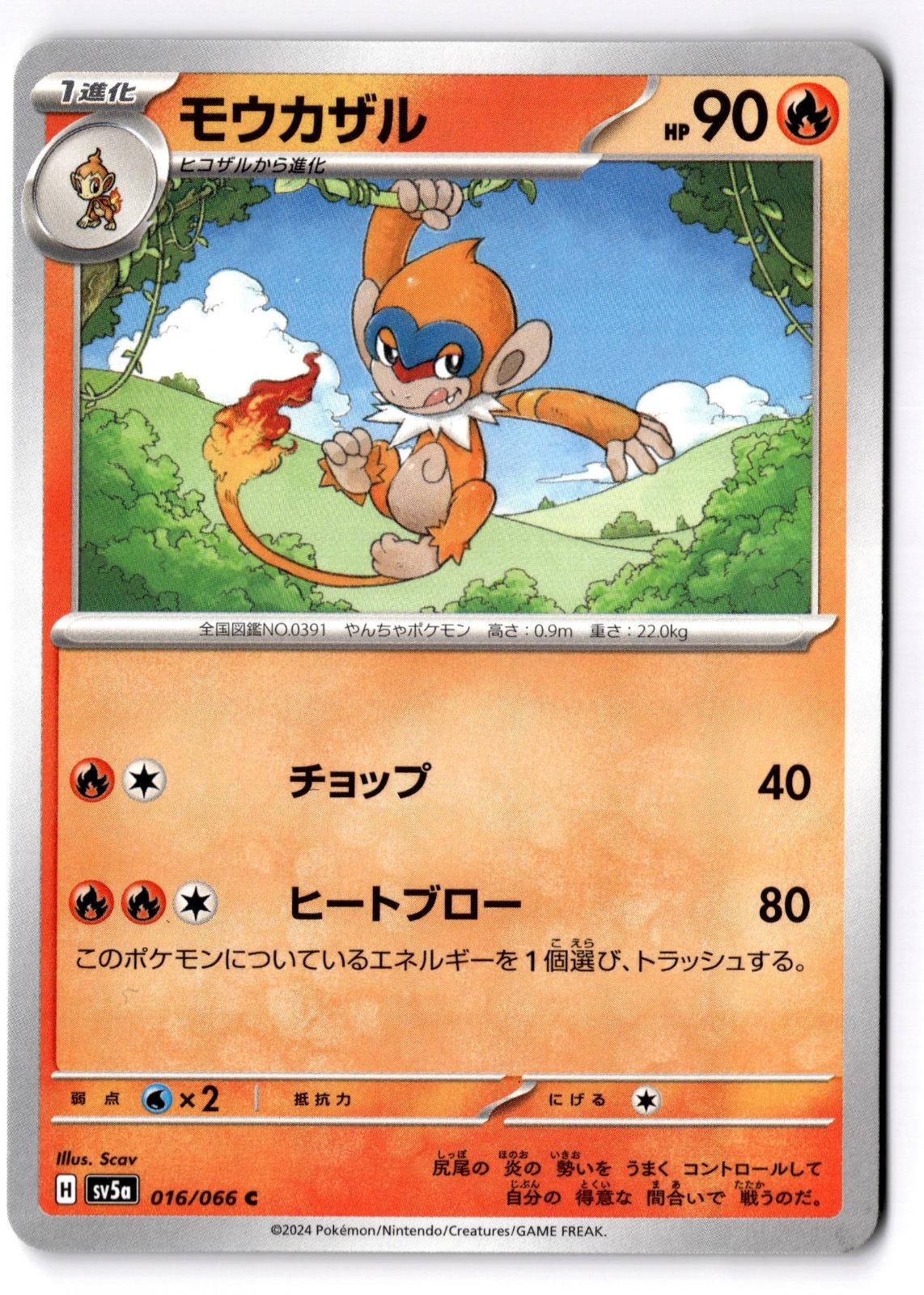Monferno 016/066 Common Crimson Haze Pokemon Japanese Near Mint