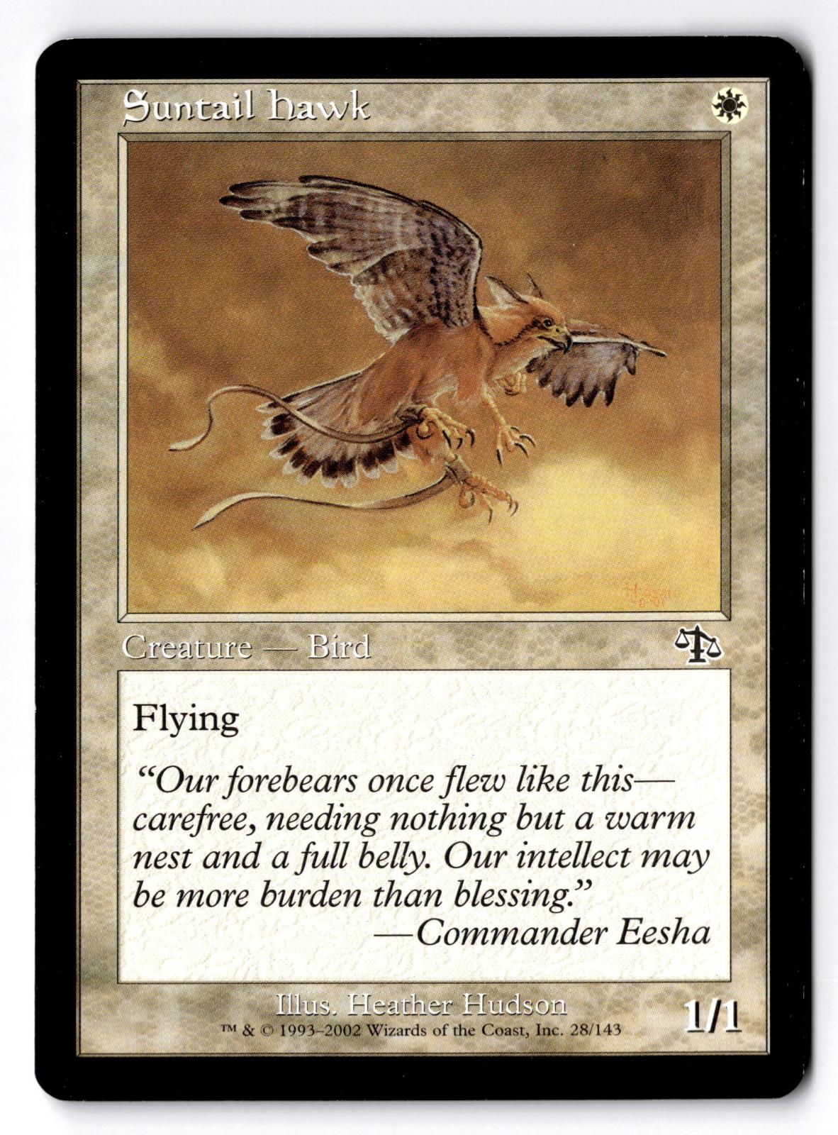 Suntail Hawk 28 Common Judgment Magic: The Gathering Moderately Played