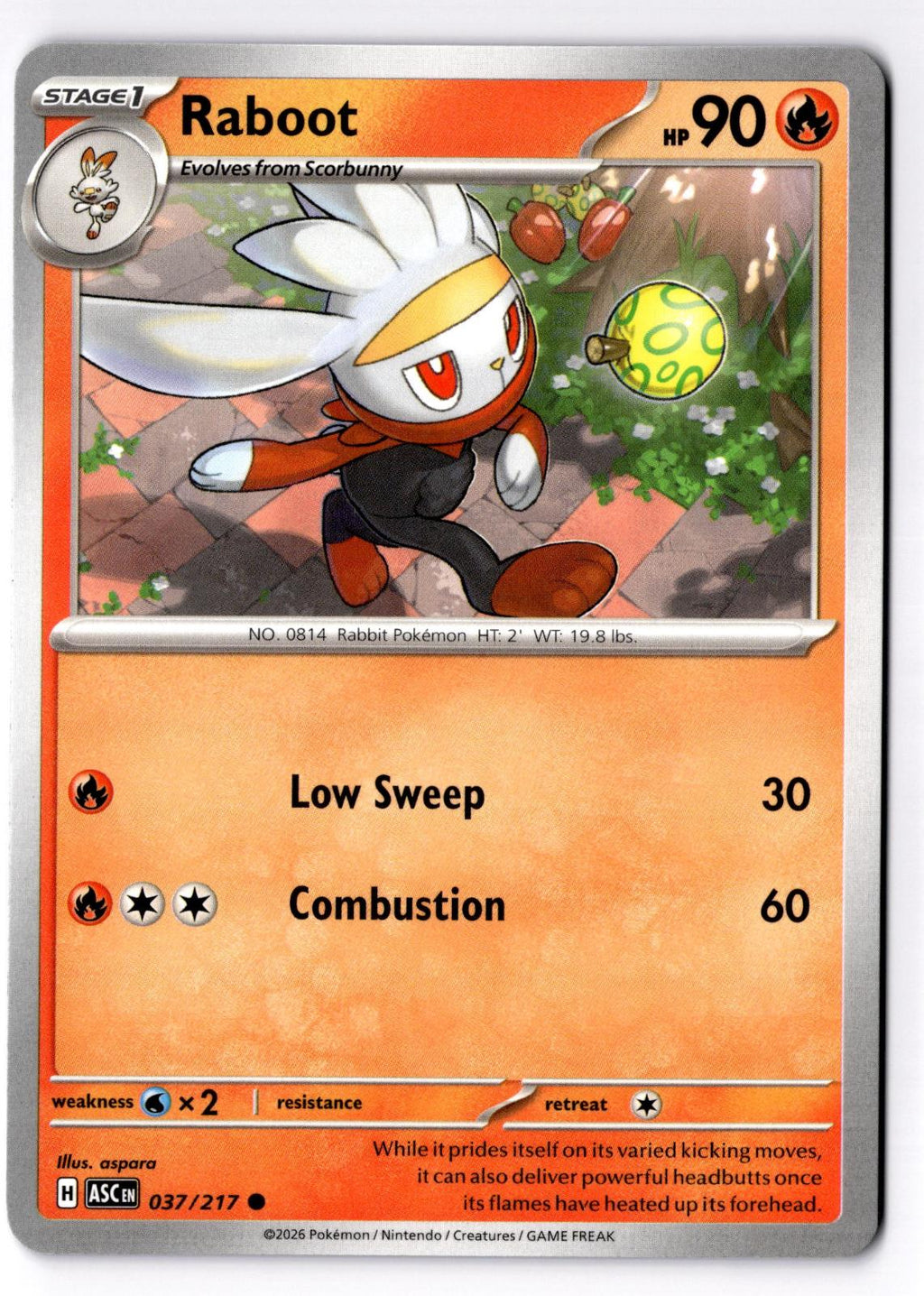 Raboot 037/217 Common Ascended Heroes Pokemon Near Mint